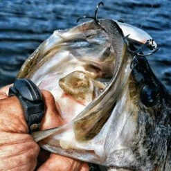 Tools + Knives Line Cutterz Line Cutting Ring 26 Tools + Knives Line Cutterz Line Cutting Ring