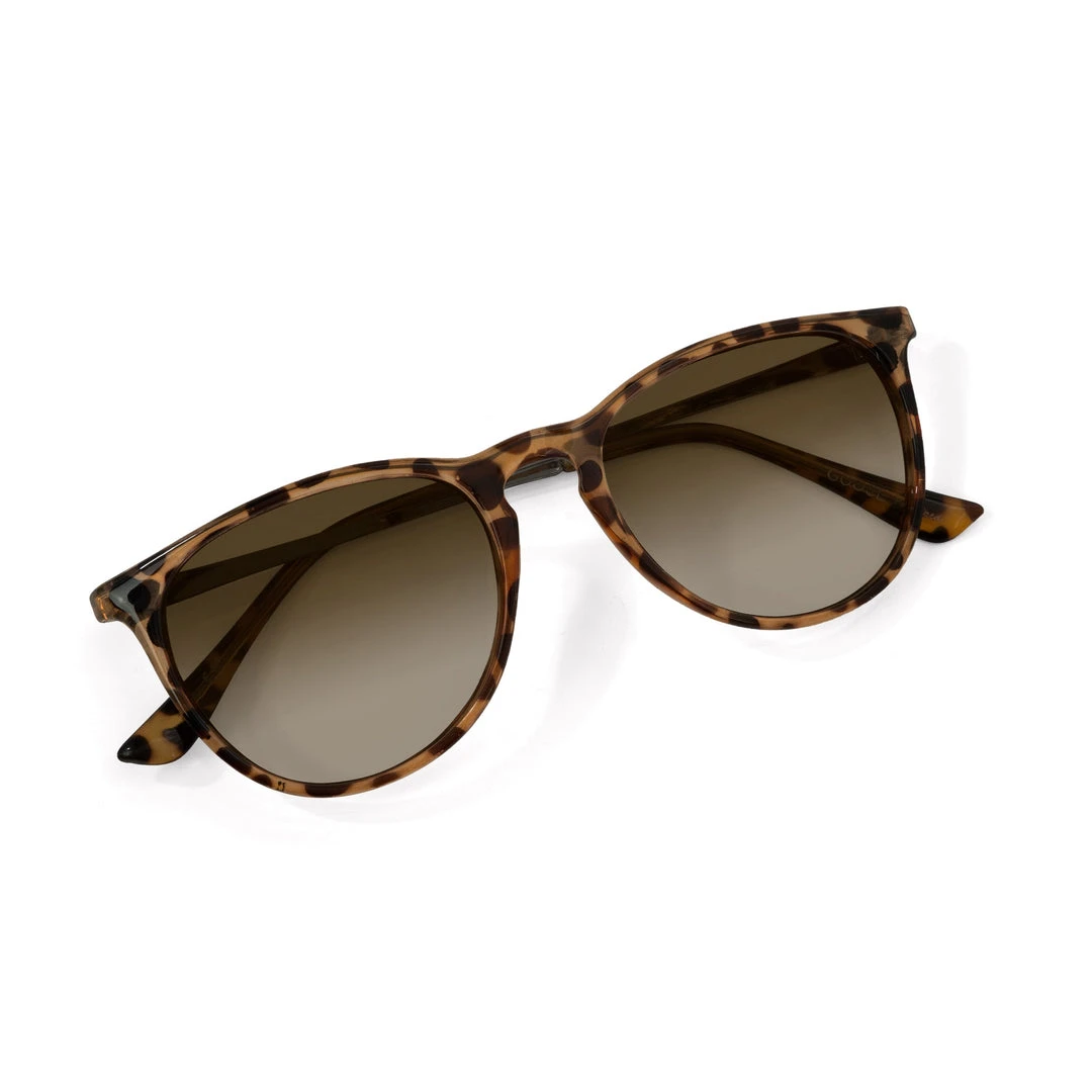 Nectar Shockoe Polarized Sunglasses 5 Nectar Shockoe Polarized Sunglasses