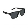 Nectar Shenandoah Polarized Sunglasses 2 Nectar Shenandoah Polarized Sunglasses
